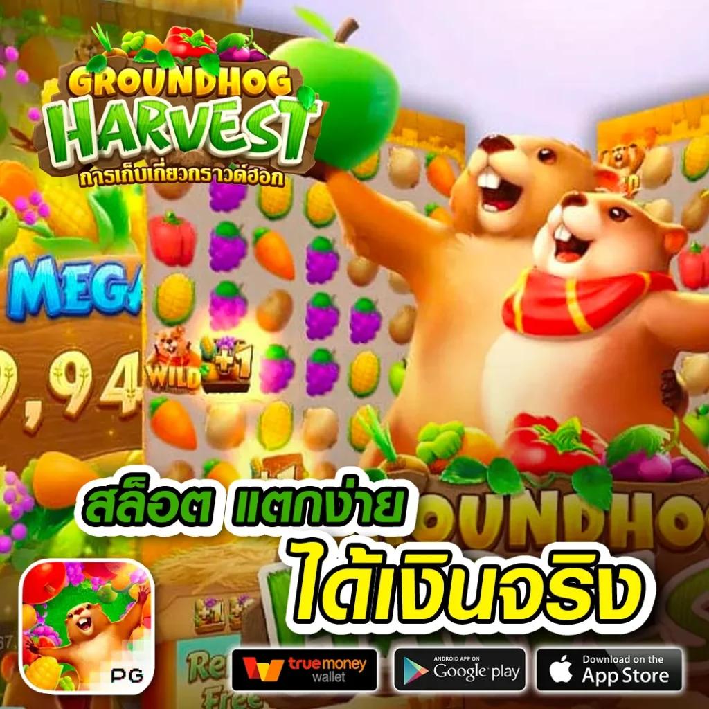 miami 1688 เครดิตฟรี สมัครง่าย จ่ายจริง พร้อมโปรเด็ดทุกวัน