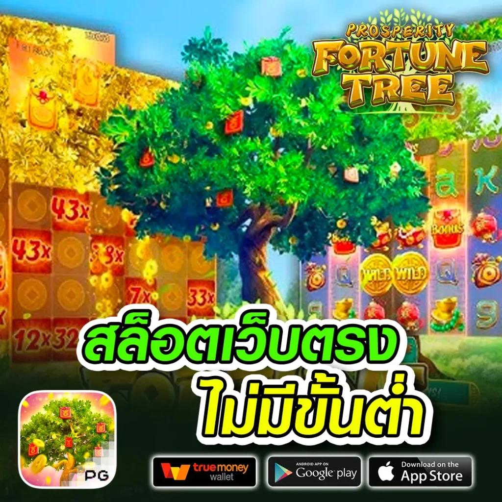 โปรแกรมบ้านบอล คาสิโนออนไลน์สุดมันส์ เดิมพันง่าย ระบบสมจริง